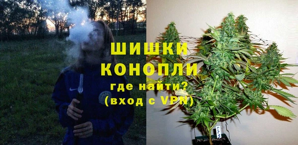 стаф Вяземский