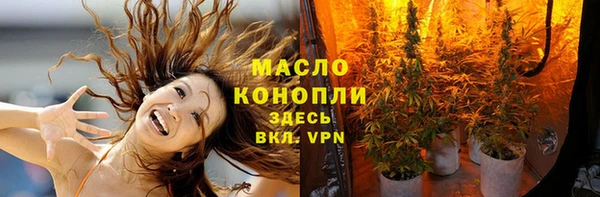 стаф Вяземский