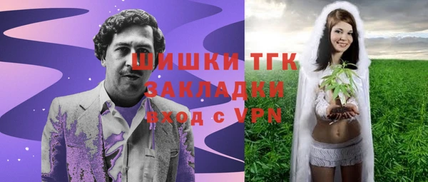 стаф Вяземский