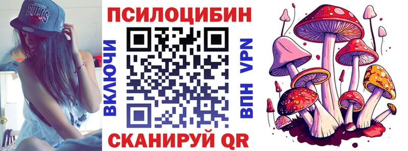 Псилоцибиновые грибы GOLDEN TEACHER Дюртюли